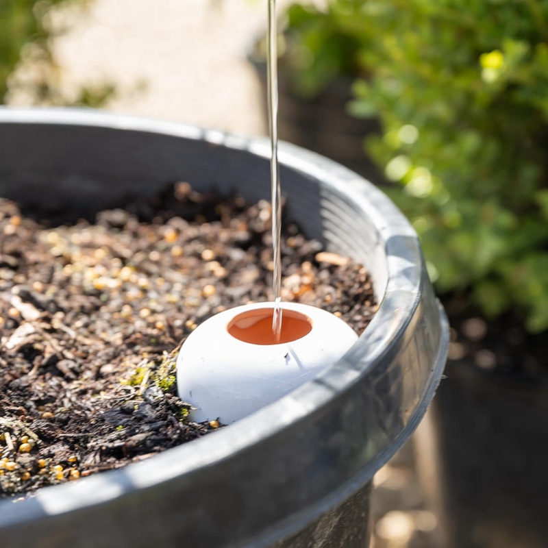 Plant Watering Ball, Terracott - Self Watering Insert บทวิจารณ์และราคา