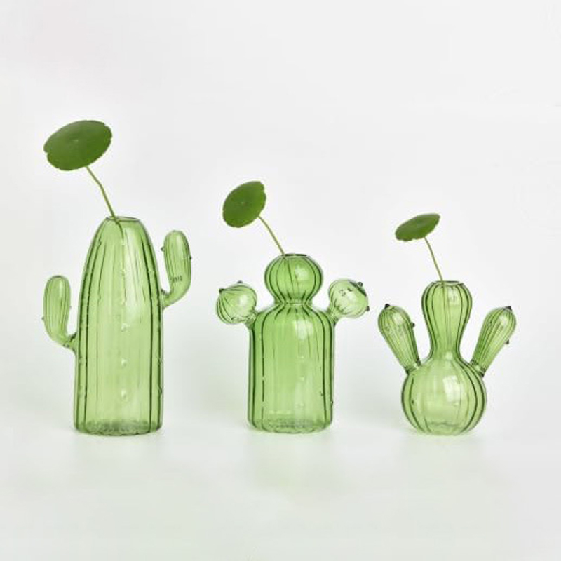 Colourful Glass Vase, Desktop  - Propagation Station Vase บทวิจารณ์และราคา